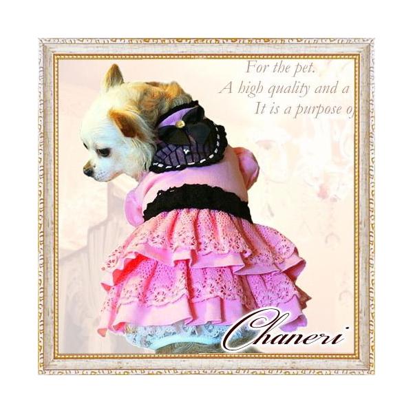  /[]Z[/Chaneri *VF[[X̃s[X@sN×[X/IWii