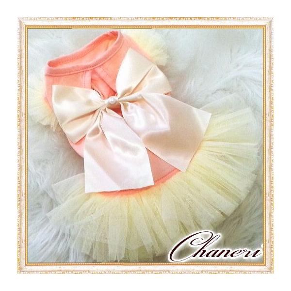  ySalez傫ȃ{̃``thX/Petstyle