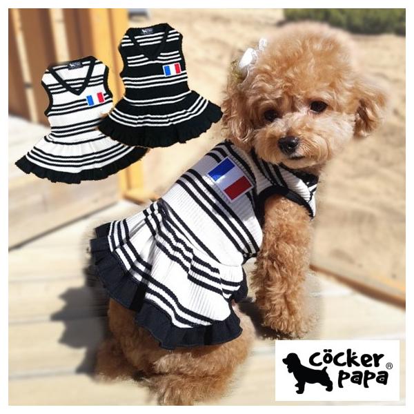 ̕ytāztXXgCvVlbNs[Xycockerpapaz