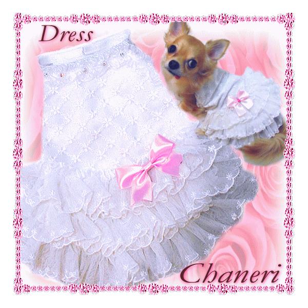  //݌ɌSale/OWA[[XhX@zCg-Others