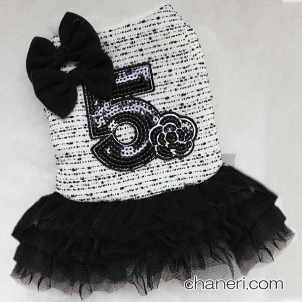 y zVF cC[hNo.5s[XyPetstylezy[OKz