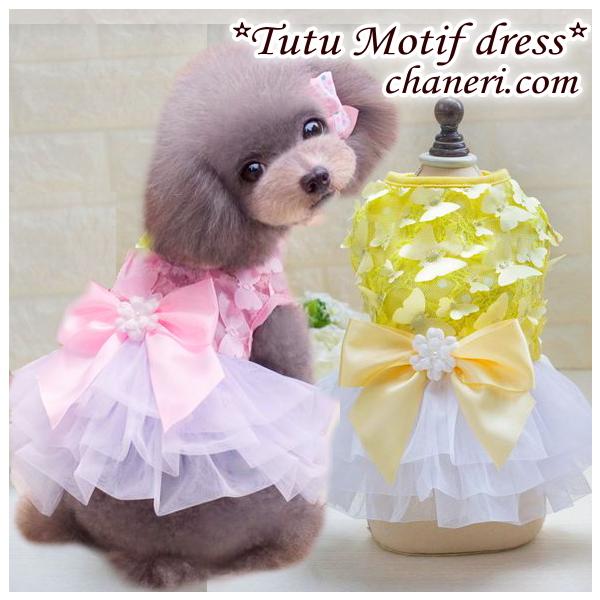 ̕y zysalezytāz`[tƃ``t̃s[Xy[OKz