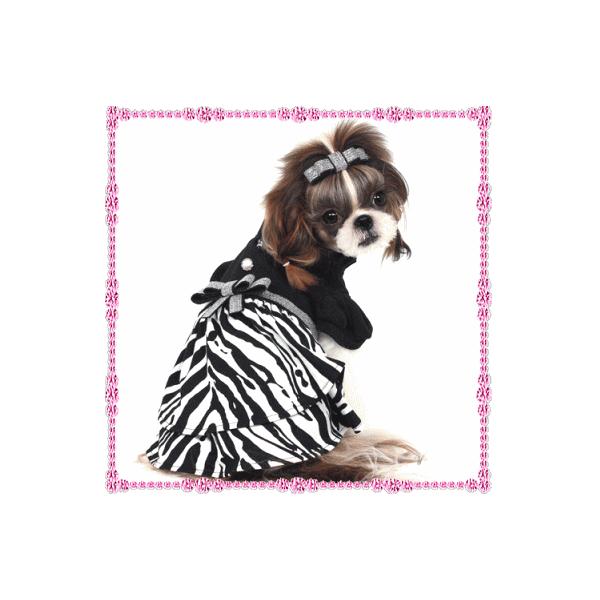  /[Sale][OK/삳܂̃[us[X/Puppyzzang