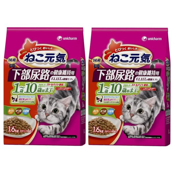 キャットフード　ねこ元気　下部尿路の健康維持用　１〜１０歳頃まで　小分けパック４袋入　１．６ｋｇ×２袋