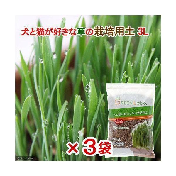 犬と猫が好きな草の栽培用土　３Ｌ×３袋　猫草