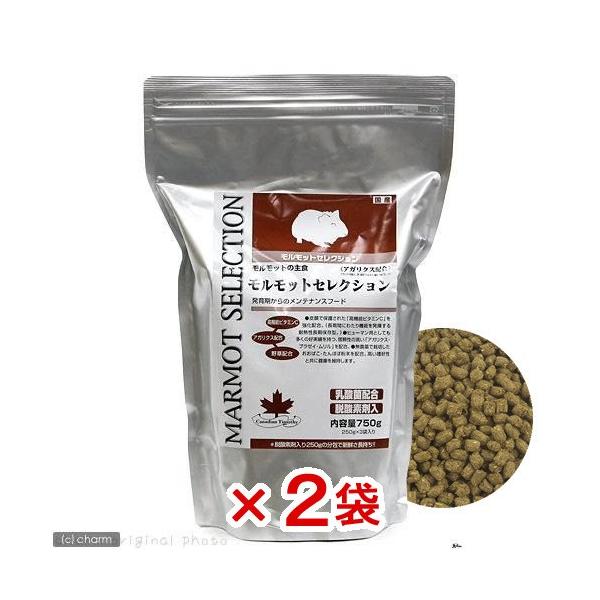 メーカー：イースター line250910p510anim　mlmfkline　_animal　小動物　鳥　モルモット　チンチラ　フード　イースター　モルモットセレクション　７５０ｇ　easter　イースターメンテナンス　イースターセレクシ...