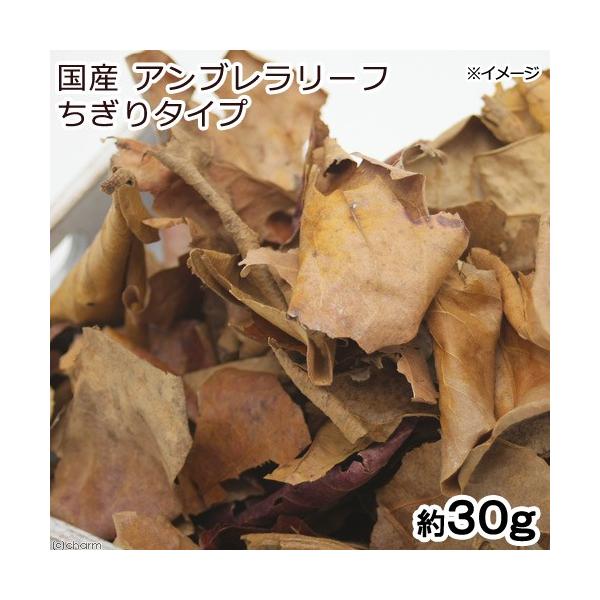 YAu[t@^Cv@RO@}WbN[tiAsXg@x^@r[Vvj