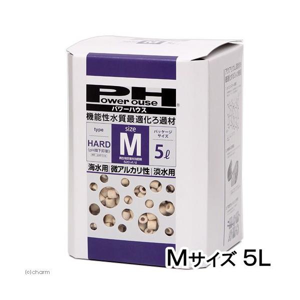 p[nEX@n[h^Cv@lTCY@WECp@Tbg@g㏸@ށ@AJ