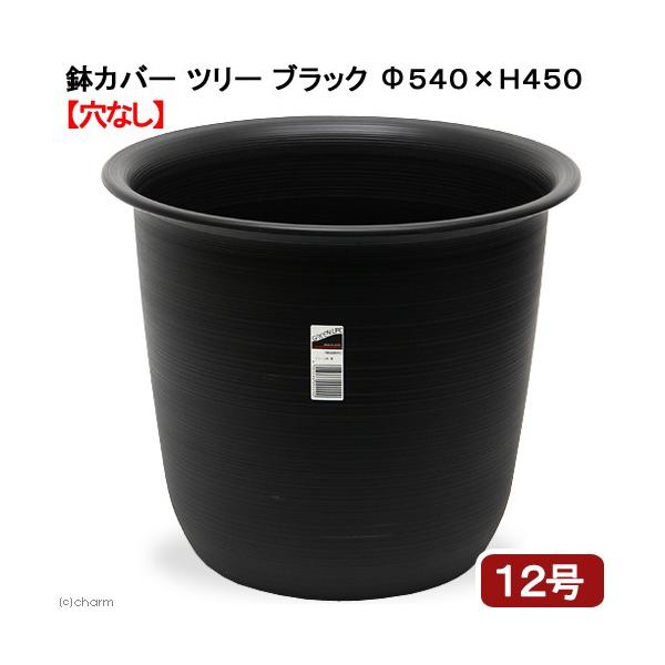 Jo[@nXɍœK@c[@ubN@aTSO×STO@PQp@Ȃ