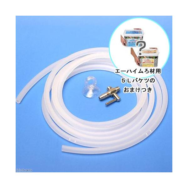 _H@Ő̂ɂ₳@킹Lbg@G[nCޗp@TkoPĉ܂