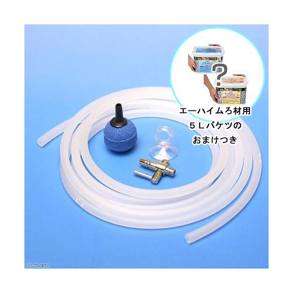 _H@Ő̂ɂ₳@E킹Lbg@G[nCޗp@TkoPĉ܂@llQ_