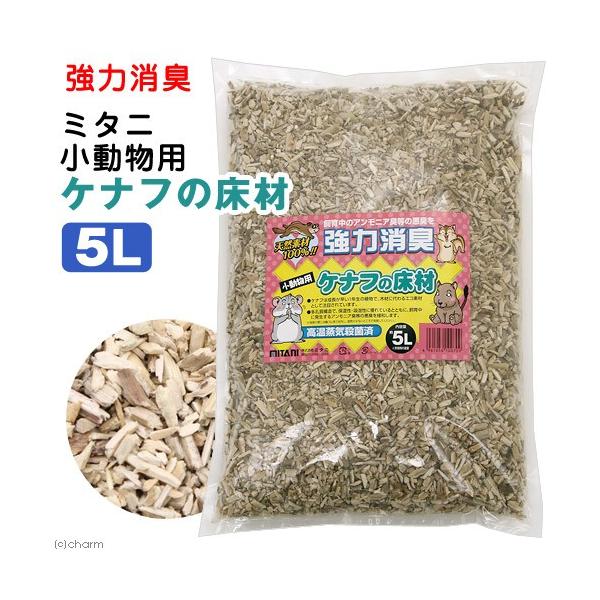 ~^j@͏L@p@Pit̏ށ@Tk@CEۍς