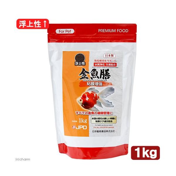 {i@j`hE@V@S@㐫@P@ƉuێT|[g@@GT@a@̉a