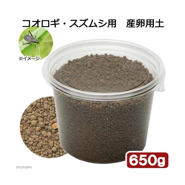 LMXɂgI@RIMEXYVp@Ypy@rbO@UTO@RIM@钎@ɐB@Y