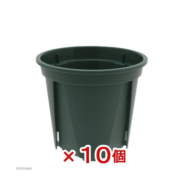 スリット鉢　植木鉢　鉢　ガーデニング用品　naisyoku_syukei　_gardening　ＥＵＰＯＴ　６ｃｍ　モスグリーン　兼弥産業　園芸用品　ガーデニング　ポット　ハイドロカルチャー　小型ポット　観葉植物　小鉢　ＫＫ　２号　セット　...