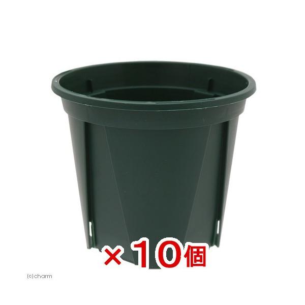 スリット鉢　植木鉢　鉢　ガーデニング用品　naisyoku_syukei　_gardening　ＥＵＰＯＴ　９ｃｍ　モスグリーン　兼弥産業　園芸用品　ガーデニング　ポット　ハイドロカルチャー　小型ポット　観葉植物　小鉢　ＫＫ　３号　セット　...