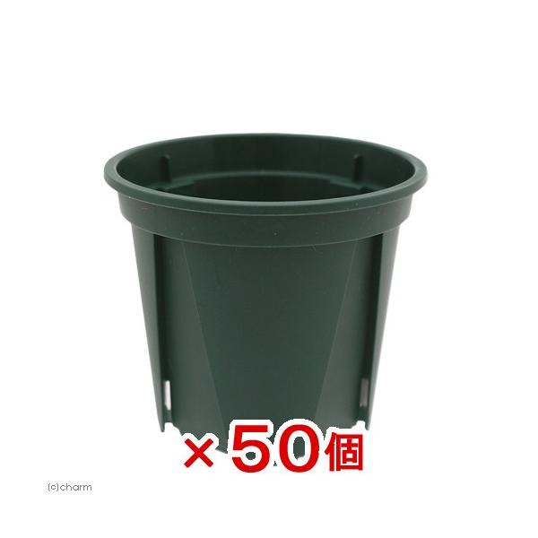 スリット鉢　植木鉢　鉢　ガーデニング用品　_gardening　ＥＵＰＯＴ　６ｃｍ　モスグリーン　兼弥産業　園芸用品　ガーデニング　ポット　ハイドロカルチャー　小型ポット　観葉植物　小鉢　ＫＫ　２号　セット　５０個入り　20171011　ビ...