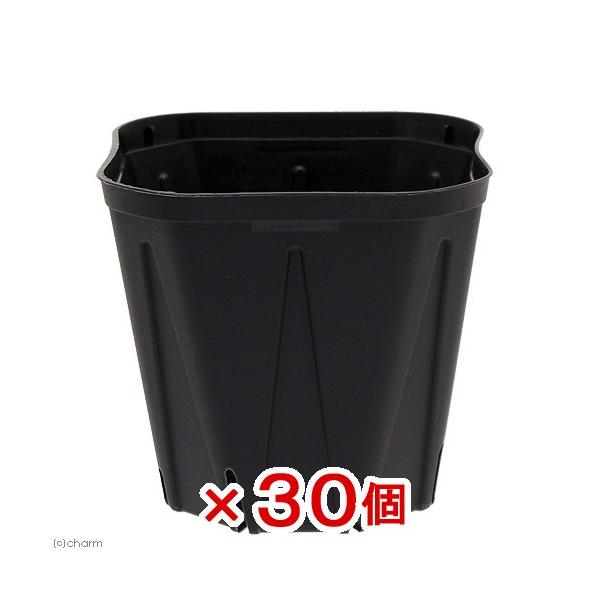 スリット鉢　植木鉢　鉢　ガーデニング用品　_gardening　ＫＰ１０５　黒　兼弥産業　園芸用品　ガーデニング　ポット　ハイドロカルチャー　小型ポット　観葉植物　小鉢　ＫＫ　３号　角型　セット　３０個入り　20171011　ビバリウム　テ...
