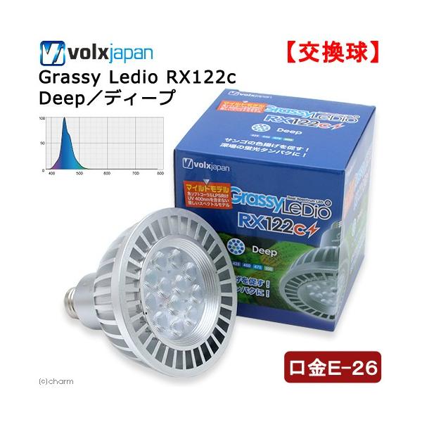 ボルクスジャパン　Ｇｒａｓｓｙ　ＬｅＤｉｏ　ＲＸ１２２ｃ　Ｄｅｅｐ／ディープ　沖縄別途送料