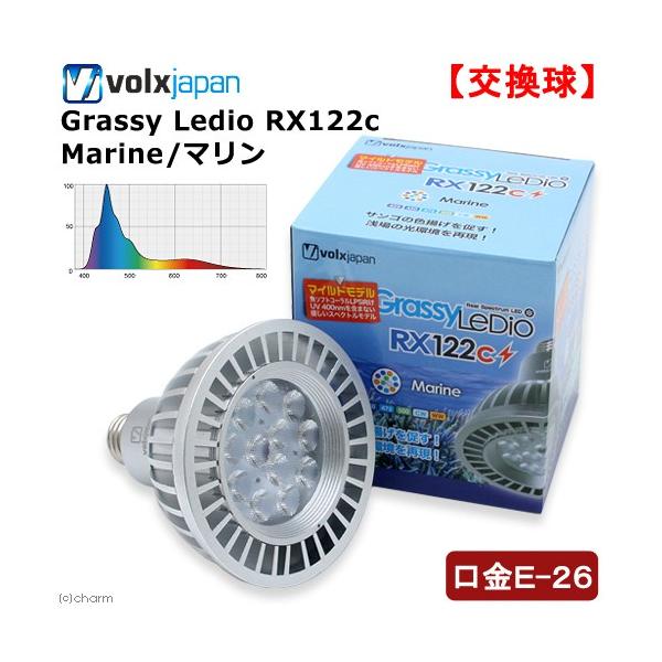 ボルクスジャパン ペット ペットグッズ Favofavoitems