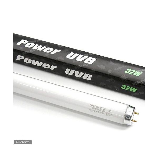 @|SiNu@roEO[@p[tua@RQviXOpj@঒ށ@Cg@O@tu