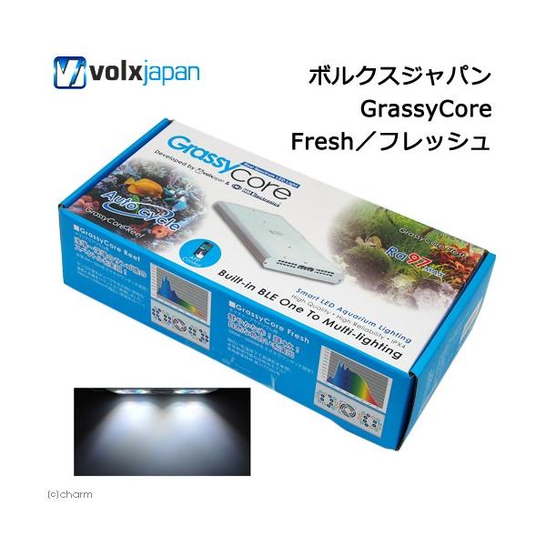 ボルクスジャパン ＧｒａｓｓｙＣｏｒｅ Ｆｒｅｓｈ／フレッシュ