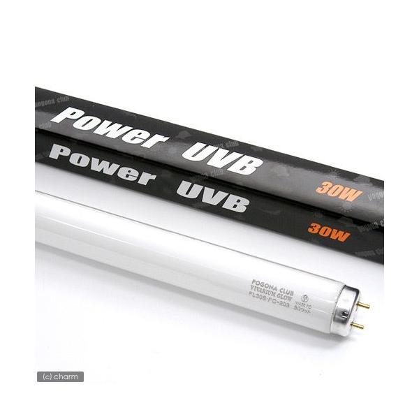 @|SiNu@roEO[@p[tua@ROviXOpj@঒ށ@Cg@O@tu