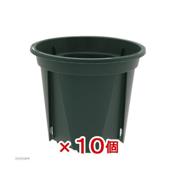 スリット鉢　植木鉢　鉢　ガーデニング用品　_gardening　ＥＵＰＯＴ　８ｃｍ　モスグリーン　兼弥産業　園芸用品　ガーデニング　ポット　ハイドロカルチャー　小型ポット　観葉植物　小鉢　ＫＫ　２号　セット　１０個入り　20171006　h...