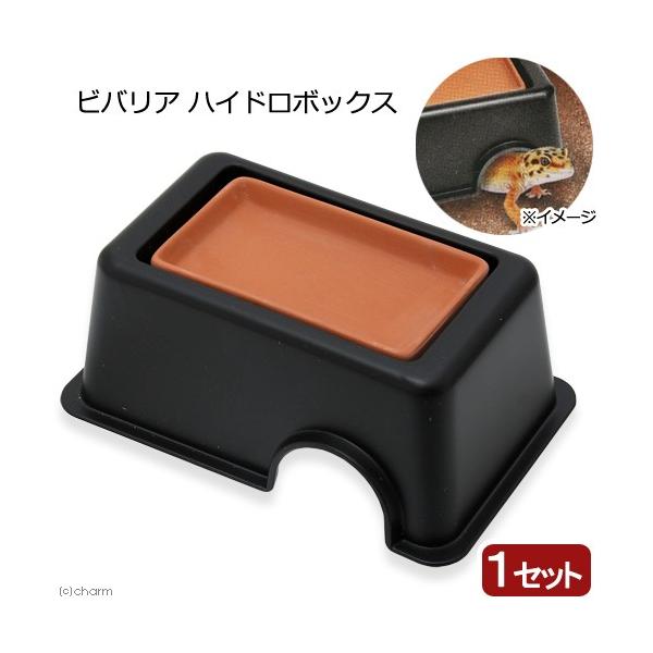 メーカー：ビバリア _hachu　_kame　20171113　ビバリア　ハイドロボックス　4582443490700　ＲＰ−３４０　KEIRYOU　YMYM　両生類　爬虫類　ヒョウモントカゲモドキ　レオパ　レオパードゲッコウ　レオパードゲ...