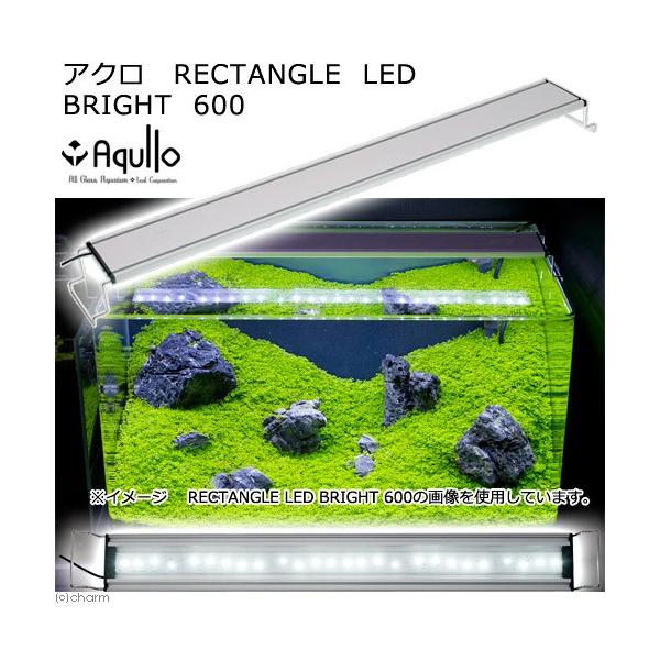 アクロ 600 led 水槽用照明の人気商品・通販・価格比較 - 価格.com