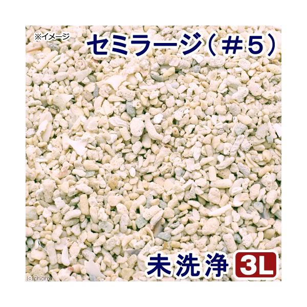 水槽用 レイアウト用品 サンゴ砂」の人気商品一覧・価格比較 - 価格.com