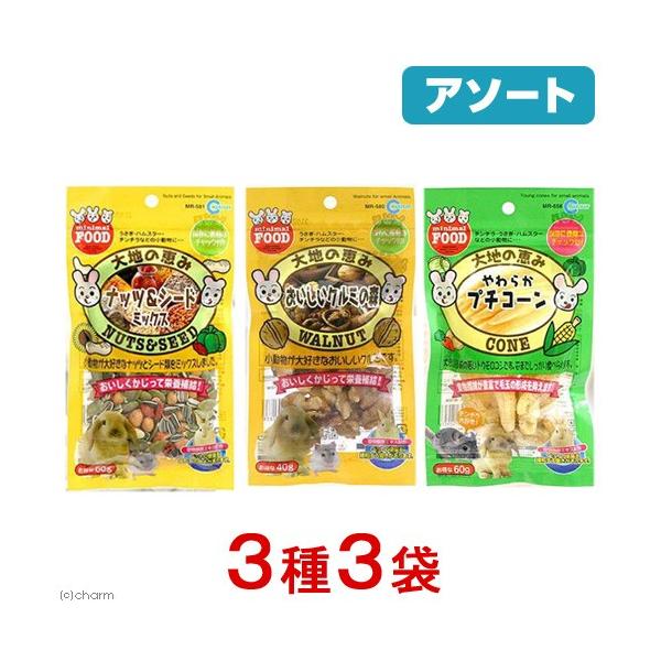 }J@ňb݁@Zbg@ReP܁@@nX^[@``