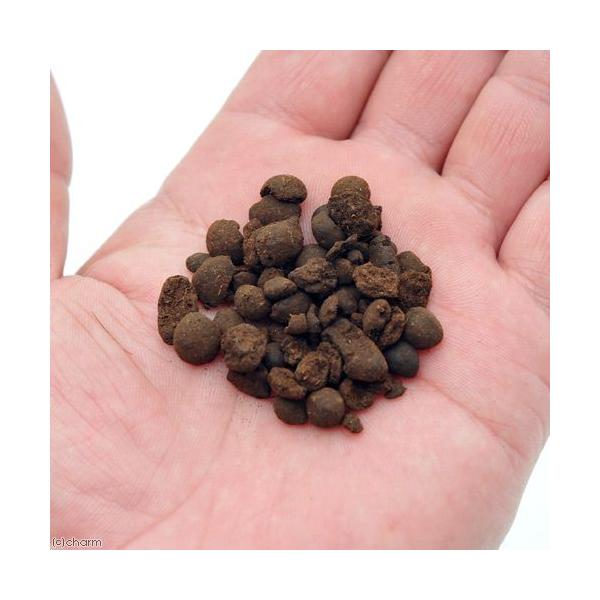 エーハイムトーフ ペレット １リットル 専用ネット付 化学ろ過 ろ材 産卵促進 コケ予防 Buyee Buyee 日本の通販商品 オークションの代理入札 代理購入