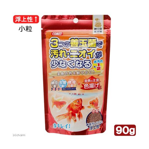 Rbg@̎H[ہ@Fg@@XO@̉a