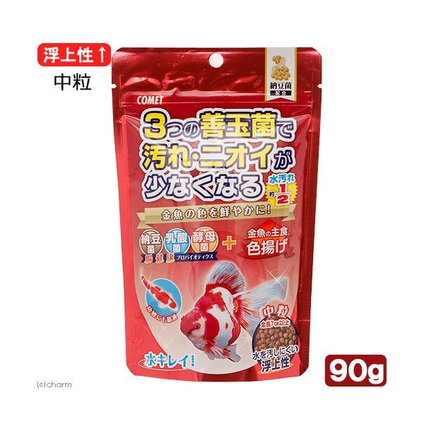 Rbg@̎H[ہ@Fg@@XO@㐫@̉a