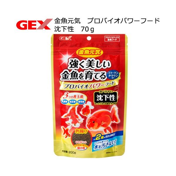 fdw@C@voCIp[t[h@@QOO@GT@a@̉a