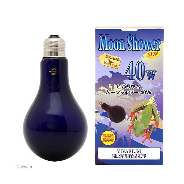 |SiENu@roE@[V[@mdv@SOv@঒ށ@ۉ