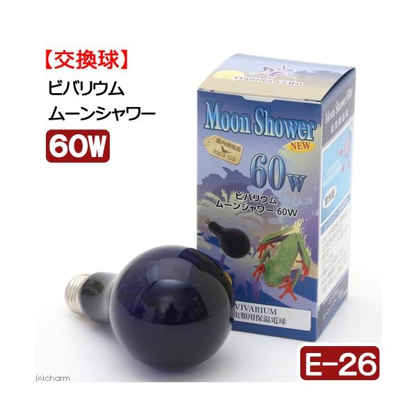 |SiENu@roE@[V[@mdv@UOv@঒ށ@ۉ