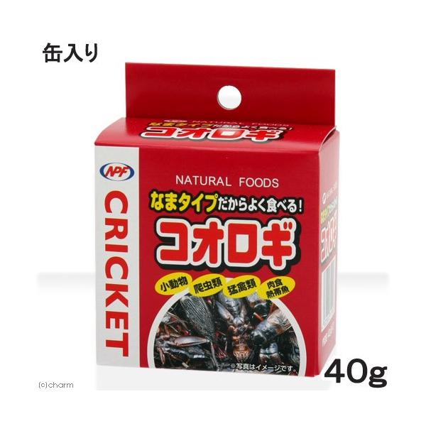 RIM@moe@RIMiʓj@SO@ށE঒ށ@nlY~@t[h@a@GT@ʋl