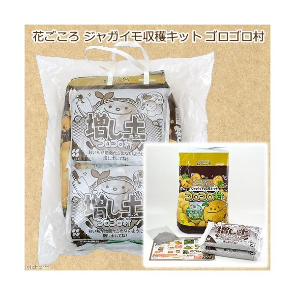 ؂̓y@Ԃ@WKCnLbg@SS@llQ_