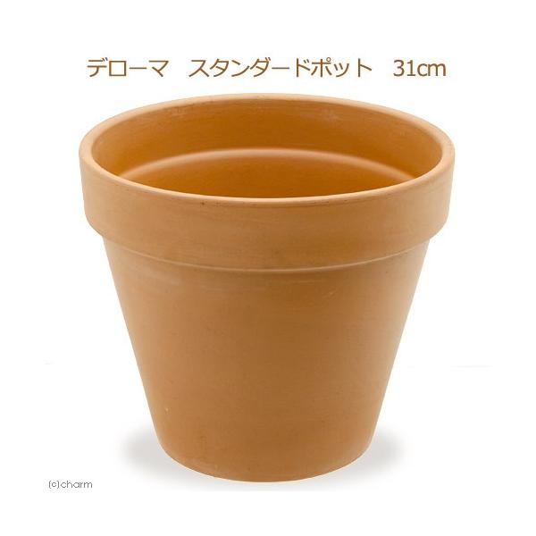 A@f[}@X^_[h|bg@RP@m@T{e@eRb^@񂹐A@llT_