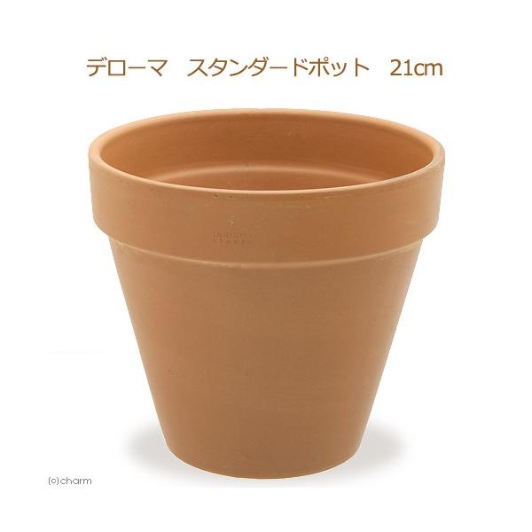 A@f[}@X^_[h|bg@QP@m@T{e@eRb^@񂹐A