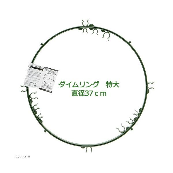 メーカー：第一ビニール 支柱　_gardening　ガーデニング用品　園芸用品　リング支柱　第一ビニール　トマト　朝顔　オベリクス　バラ　ツル性植物　ＤＡＩＭ　ダイムリング　特大　直径　３７ｃｍ　家庭菜園　ベランダ菜園　4968438017...