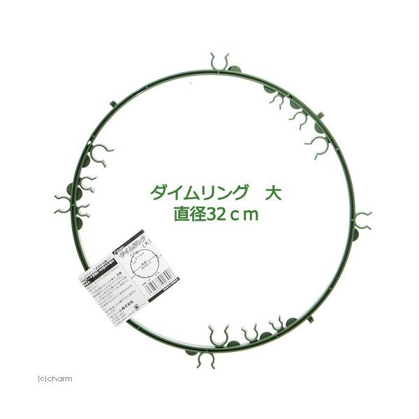 メーカー：第一ビニール 支柱　_gardening　ガーデニング用品　園芸用品　リング支柱　第一ビニール　トマト　朝顔　オベリクス　バラ　ツル性植物　ＤＡＩＭ　ダイムリング　大　直径　３２ｃｍ　家庭菜園　ベランダ菜園　49684380170...