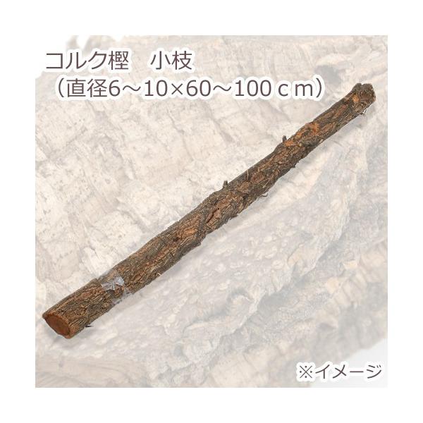 RN~@}@iaU`PO×UO`POOj@|@fށ@঒ށ@CAEg