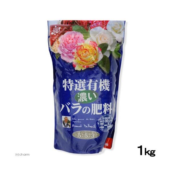 Ԃ@IL@@Z@o̔엿@P@o@fo[@t`[Y@K[fjO@엿