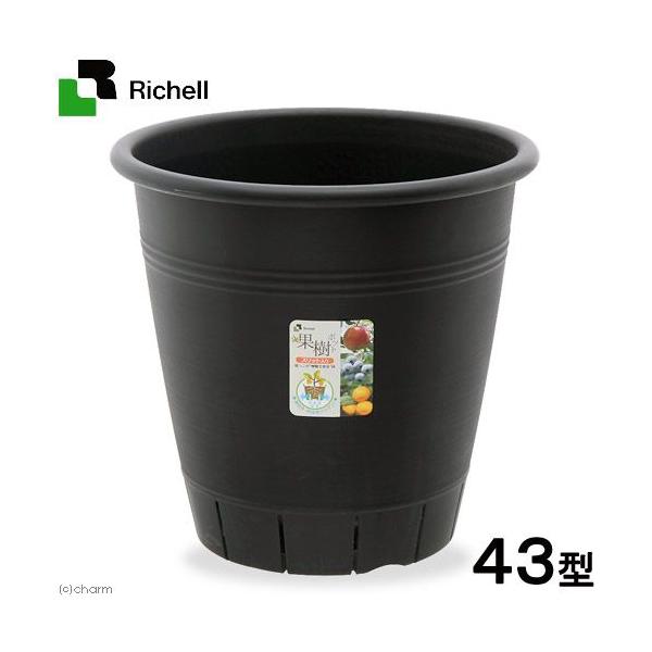 リッチェル 果樹ポット 43型 N お一人様6点限り スリット鉢 果樹栽培 家庭菜園 ガーデニング スリット 鉢タイプ リッチェル 果樹ポット 43型 N お一人様6点限り スリット鉢 果樹栽培 家庭菜園 ガーデニング スリット 鉢タイプ