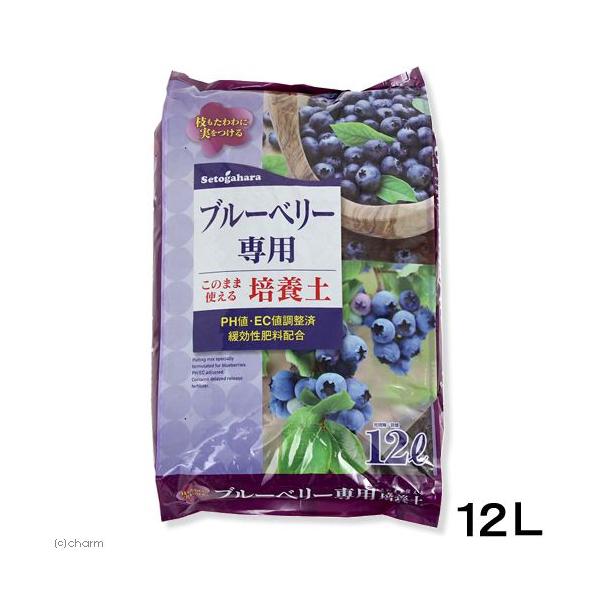 |{y@˃ԉ@u[x[p|{y@PQk@u[x[@py@ƒ؉@llQ_