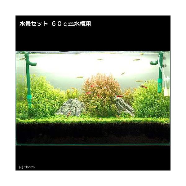 ijiZbg@UOpiO[^{^@gfB{Ob\{΂lkjitji_j@{Bl