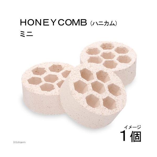 EVF^[ށ@gnmdxbnlainjJj@~j@P